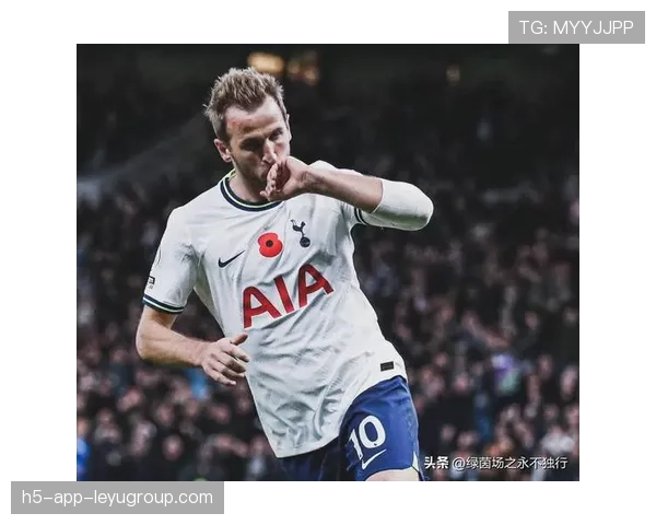 凯恩望连续5场欧冠进球队史仅罗本和莱万做到，凯恩欧洲杯进球数据